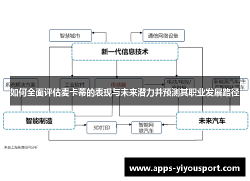 如何全面评估麦卡蒂的表现与未来潜力并预测其职业发展路径