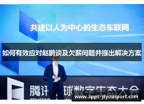 如何有效应对赵鹏谈及欠薪问题并提出解决方案