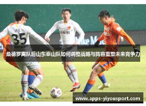 桑德罗离队后山东泰山队如何调整战略与阵容重塑未来竞争力