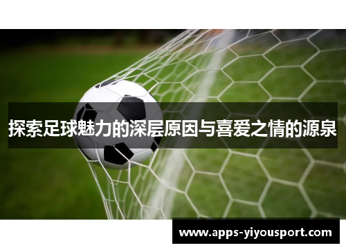 探索足球魅力的深层原因与喜爱之情的源泉