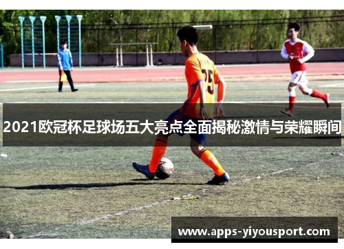 2021欧冠杯足球场五大亮点全面揭秘激情与荣耀瞬间